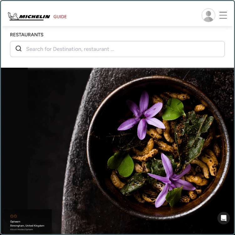 The MICHELIN Guide - Website